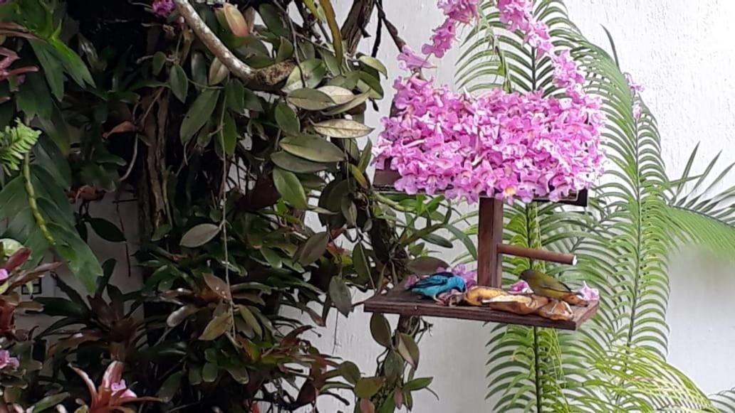 Suites Beija-Flor ปาราตี ภายนอก รูปภาพ